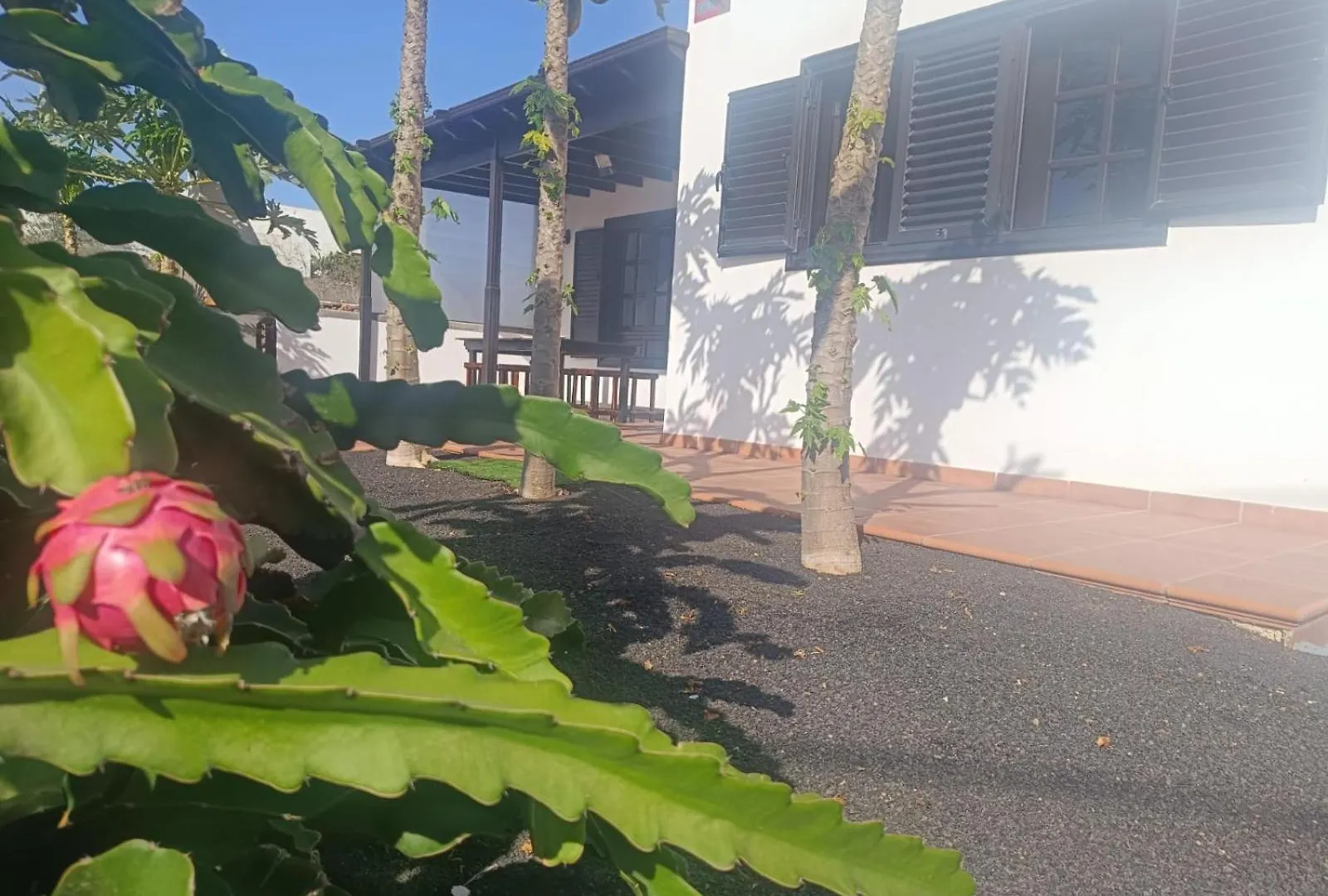 Casa Pacuco Villa Teseguite Holiday home